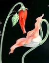 Pink Floyd – Comfortably Numb | Dummidumbwit's Weblog