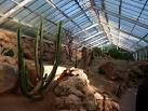 The Desert House is connected to Reptile Tropics. - via Daymix