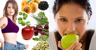  Free Record of Fats Burning Foods