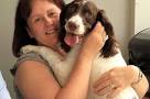 Dog defies death with Overtoun Bridge leap - Daily Record
