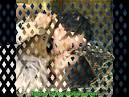 Best | Dating To Find Romance