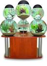 unique fish tanks