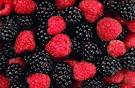 Strong scientific evidence that eating berries benefits the brain