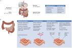 The gut flora as a forgotten organ : Figure 1 : EMBO reports