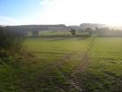 TL1026 : Looking south from Wards Wood, Lilley - via Daymix