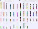 Comparative Cancer Cytogenetics