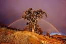 wonderful rainbows
