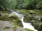 The boy of Egremont supposedly - via Daymix