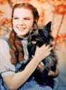 http://images.wikia.com/wicked/images/2/29/Dorothy_the_wizard_of_oz-11607.jpg