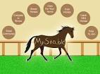 MyStable.co.uk - fun horse games