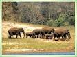 Idukki Wildlife Sanctuary - Idukki Wildlife Sanctuary Kerala ...
