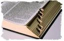 oxford american dictionary