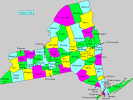 County map for new_york