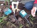 Converting Your Sprinkler System To Drip Irrigation