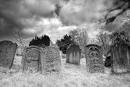 Gravestones « diogenes: