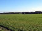 Field and plantations near Kirkley West Farm - via Daymix