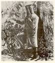 Ned Kelly