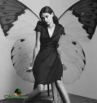 ენვერ სალაყაია - მაღლა აგიტაცო, ფრთებით მოგეფერო ...