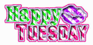 images?q=tbn:ANd9GcRJ3AP63pb5DVMPkWhjudX4-Mjd9vdZz6zp61VCcvuGQiyYlFlM