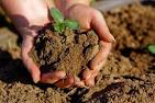Labor For Love: Idaho Farm Introduces 'Weed Dating' For Local