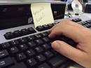 Site to reveal internet leak a day | Radio Netherlands Worldwide