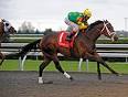 Aikenite (FL) | Horse Profile | BloodHorse.