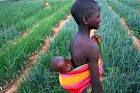 Our values - CIRAD
