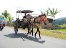 Delman, Purworejo, Indonesia