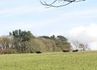 parklands were the home of - via Daymix