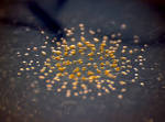 Universe, Life, Science , Future 04/