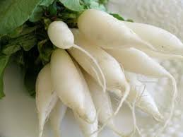 White radishes for steaming