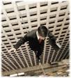 Acrophobia (Fear of Heights) Have I Experienced It? | Natural ...