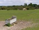 Penn Common, New Forest - via Daymix