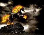 Horses Desktop Background Fire Desktop - 1280x1024px HD Wallpaper ...