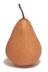 Cook's Thesaurus: Pears