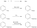 Organic Syntheses Prep