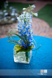 I need help thinking of Wedding Centerpieces (Peacock theme) :  wedding peacock blue green golds centerpieces reception ideas Images?q=tbn:ANd9GcRKvwNHwI0rFB2FJyyphYt5JEDe1Oljw1SHfEHoCEz8JUFkSCIk