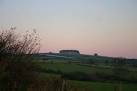 Bampfylde clump, at the top of - via Daymix