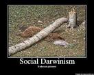 Social Darwinism Picture