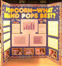 Science Fair Display Boards | Award Ribbons Certificates Trophies ...