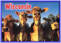 The Cheese Factories in Waukesha County and Americas Dairyland