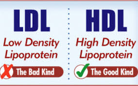 images?q=tbn:ANd9GcRLMgiggAJ7bmm5rpEH7wwjeFH6OQVfTZVckVX1IkzCSL37P5uJlw