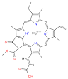 Chlorophyll - Wikipedia, the free encyclopedia