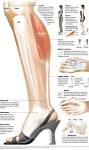 Lush Fab Glam: ﻿The Painful Truth: The High Heels We Love Are ...