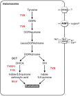www.biomedcentral.com - Figure