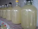 Market Manila - Sukang Tuba / Coconut Sap Vinegar - General