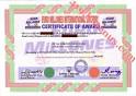 EUROMILLIONs Lottery Winning Certificates (419 fraud)