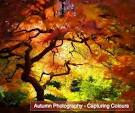 Autumn (Fall) Photography – Capturing Colours