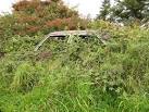 Car returning to nature. Fly tip,or rubbish dump seemed too harsh for this - via Daymix