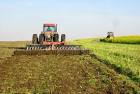 Visuals: Chopping and disking mustard green manure, Washington ...